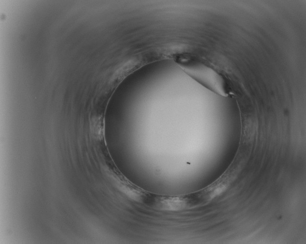 X0000062870383200601171428