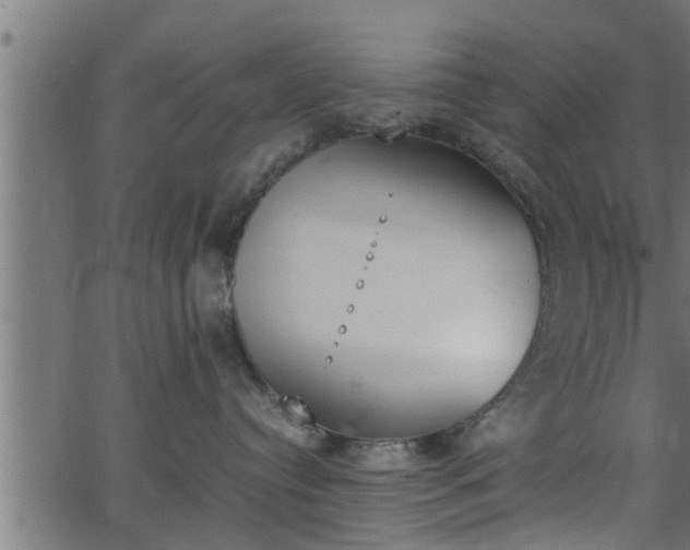 X0000062870384200601171428