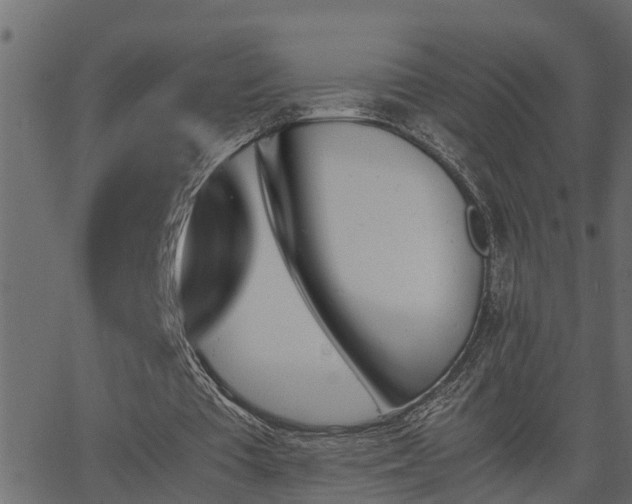 X0000062870385200601171427