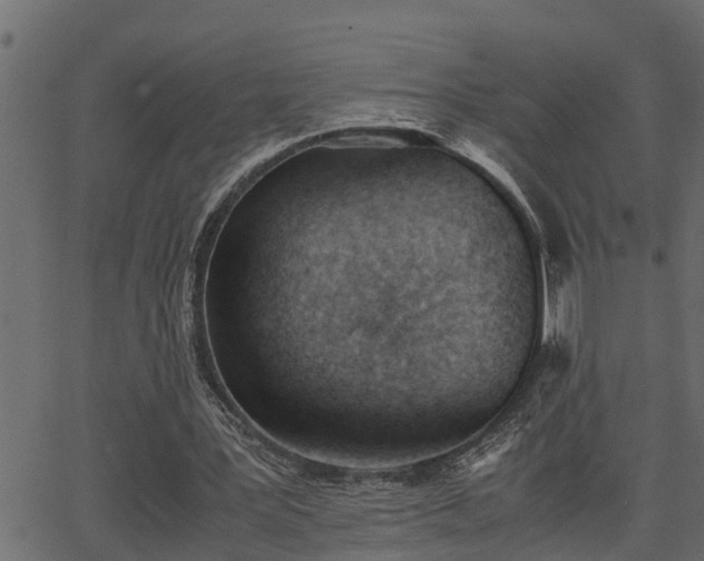 X0000062870387200601171427