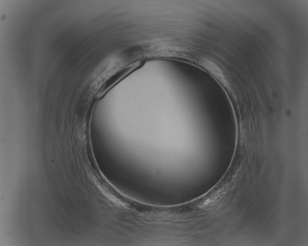 X0000062870389200601171427