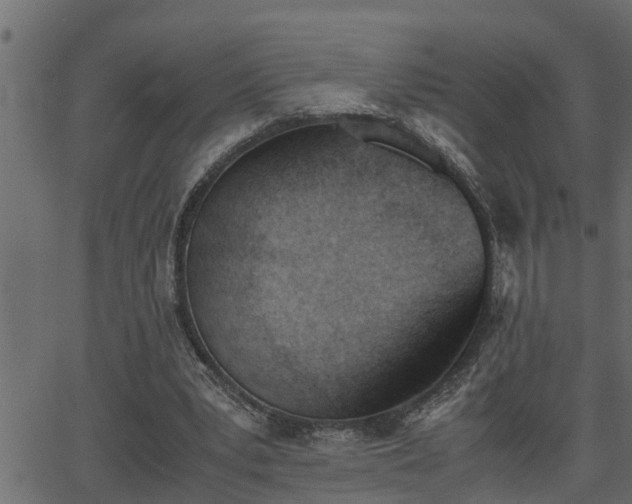 X0000062870391200601171427