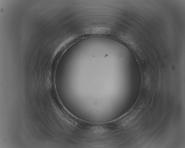 X0000062870392200601171427