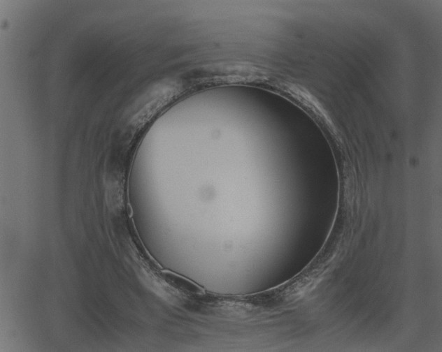 X0000062870393200601171427