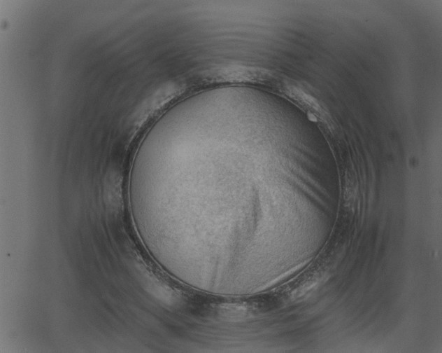 X0000062870394200601171427