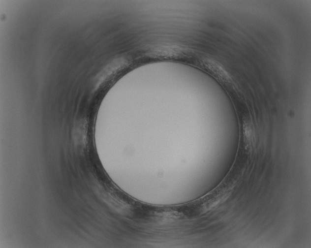 X0000062870396200601171427