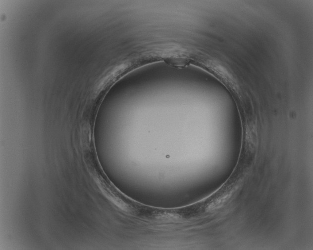 X0000062870397200601171427