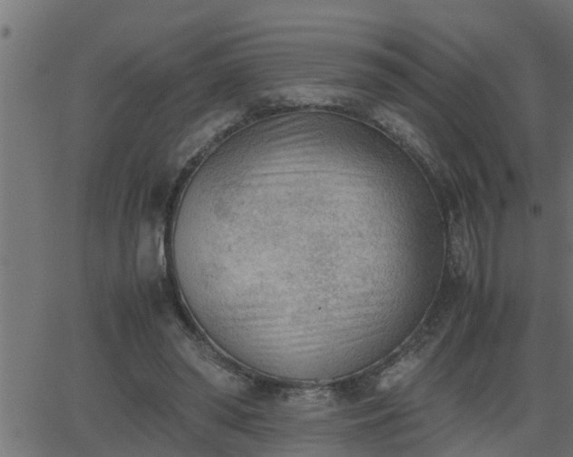 X0000062870398200601171427