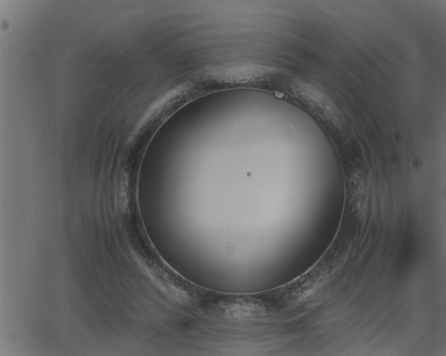 X0000062870400200601171427