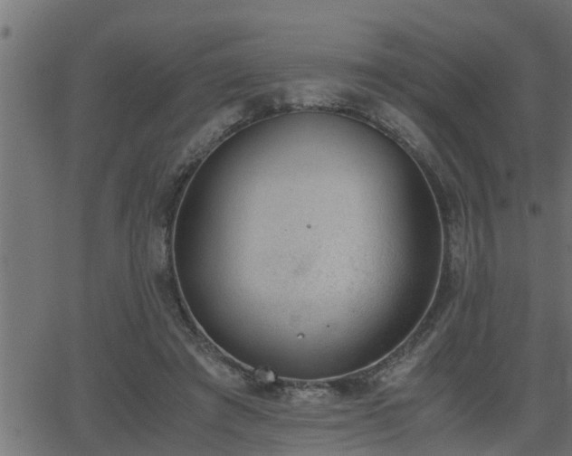 X0000062870401200601171427