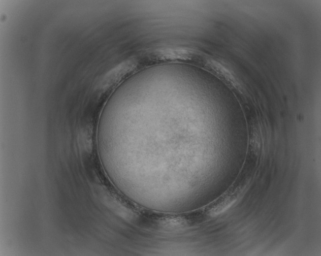 X0000062870402200601171427