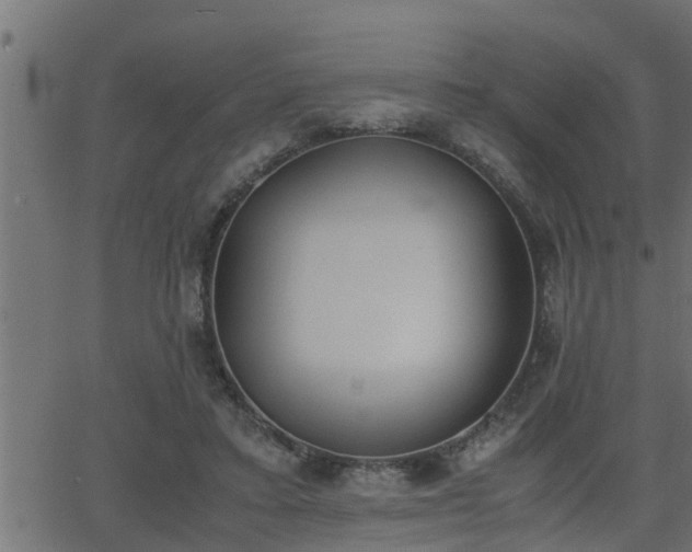 X0000062870403200601171427