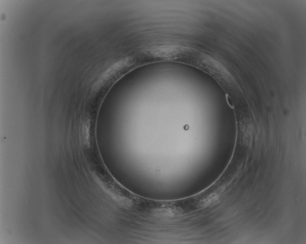 X0000062870404200601171427