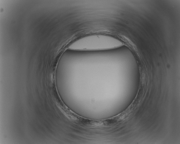 X0000062870405200601171427