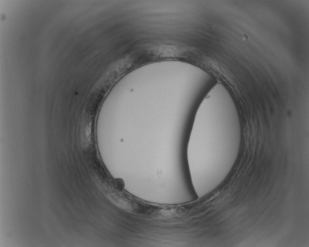 X0000062870406200601171427