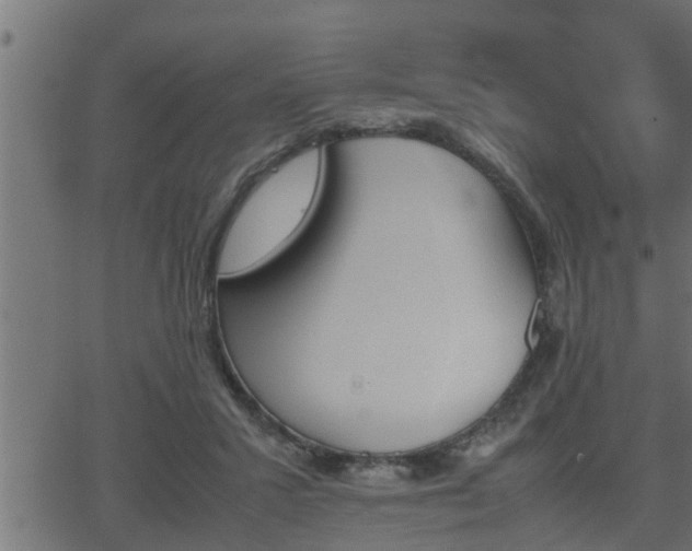 X0000062870407200601171427