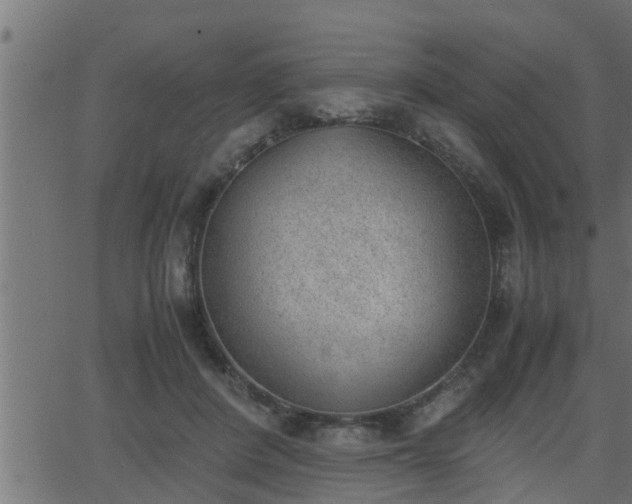 X0000062870408200601171427