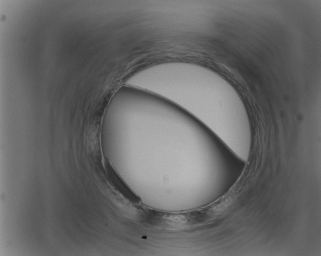 X0000062870409200601171426