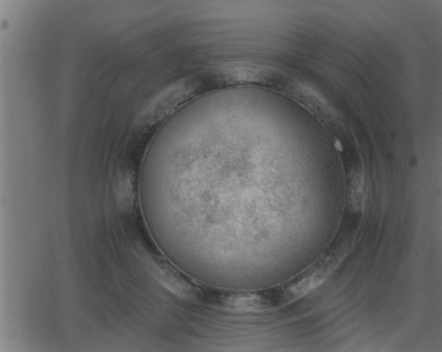 X0000062870410200601171426