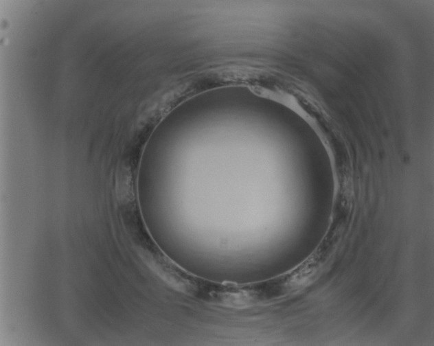 X0000062870411200601171426