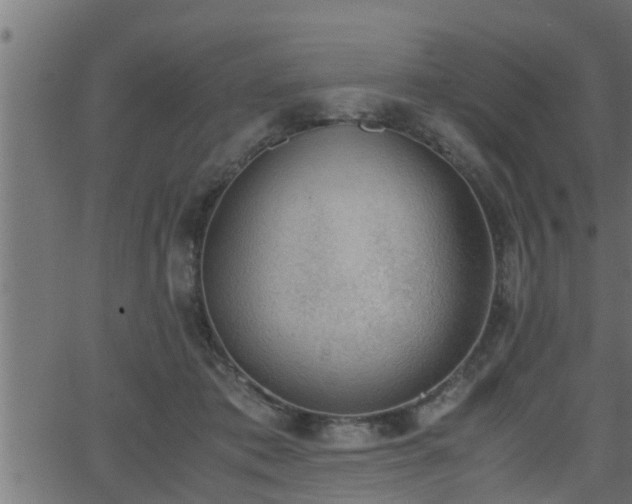 X0000062870413200601171426