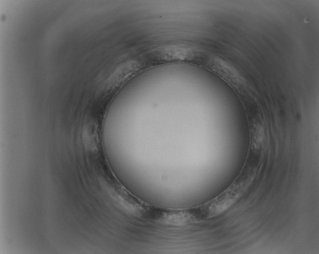 X0000062870414200601171426