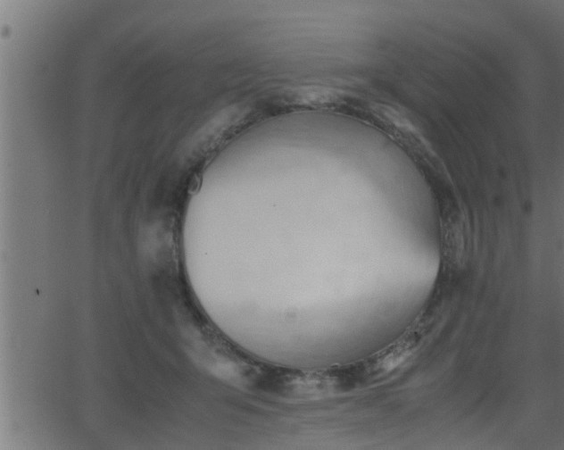 X0000062870415200601171426