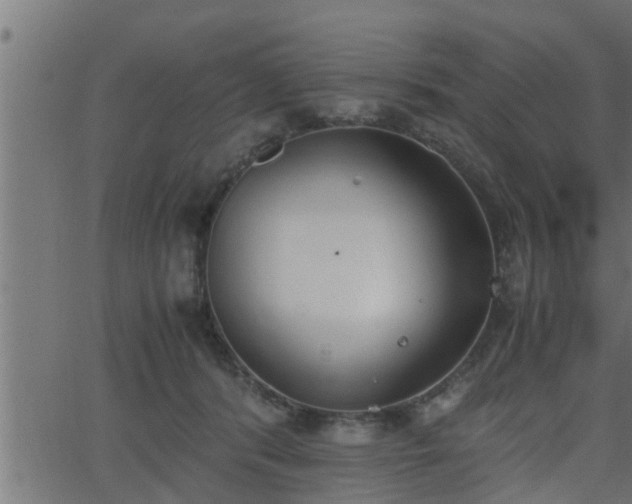 X0000062870416200601171426