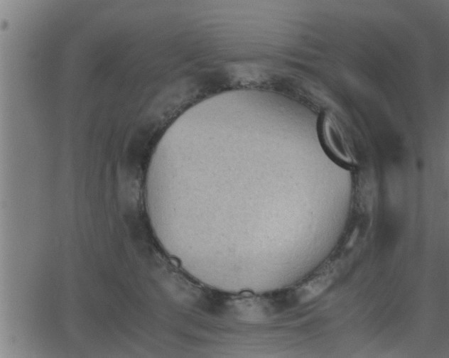 X0000062870417200601171426