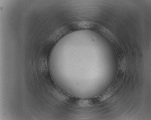 X0000062870418200601171426