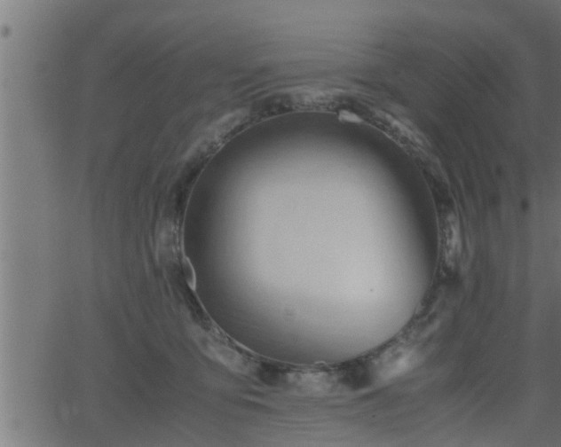 X0000062870419200601171426