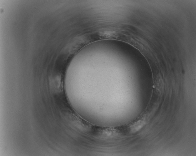 X0000062870420200601171426