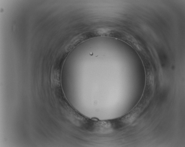 X0000062870421200601171426