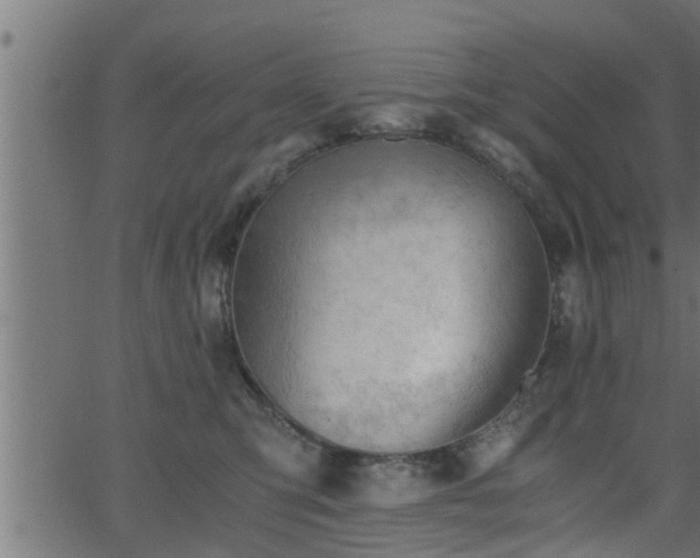 X0000062870423200601171426