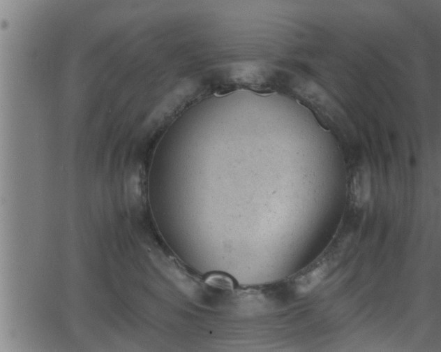 X0000062870424200601171426