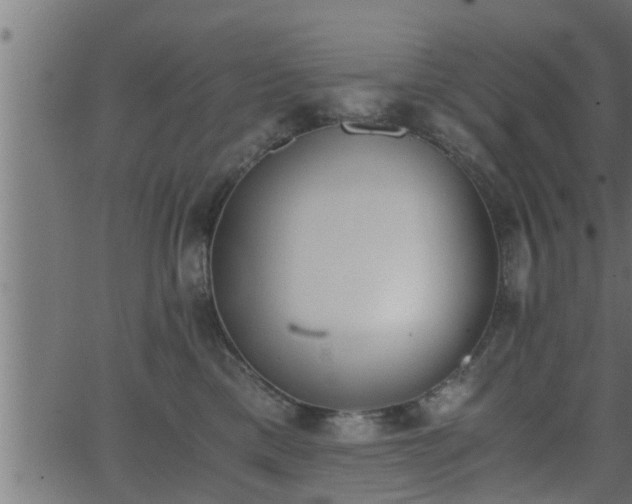 X0000062870425200601171426