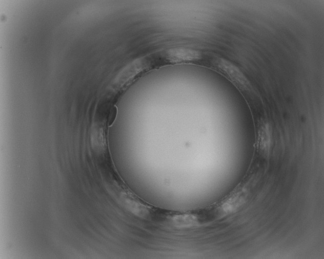 X0000062870426200601171426