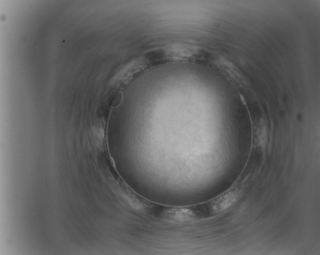 X0000062870427200601171426