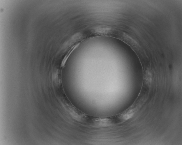 X0000062870428200601171426