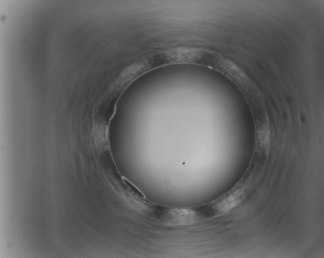 X0000062870429200601171426