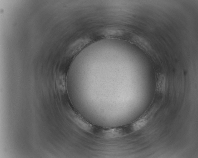 X0000062870430200601171426