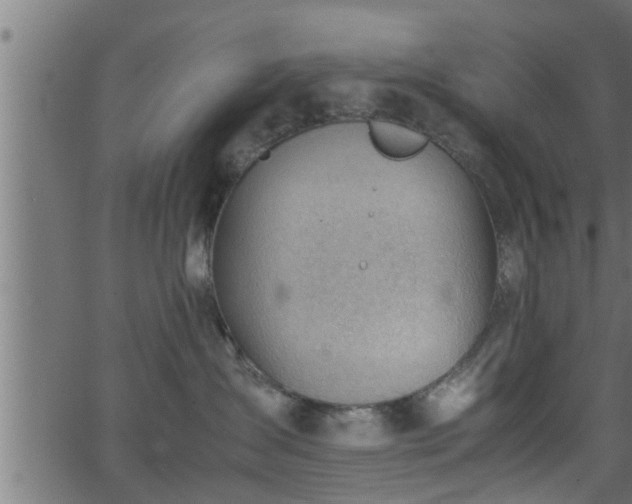 X0000062870431200601171426