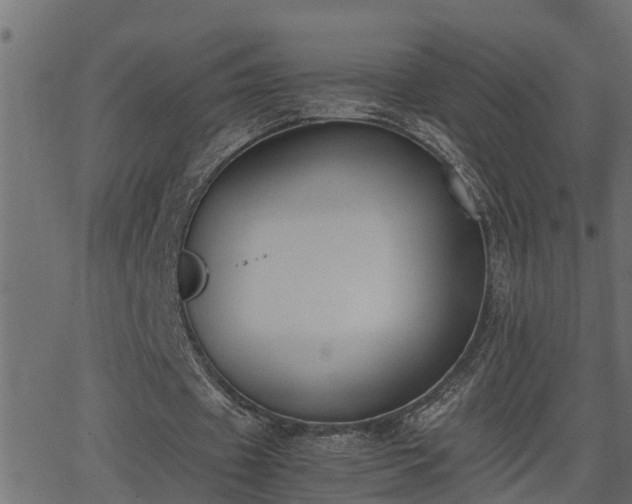 X0000062870433200601171425