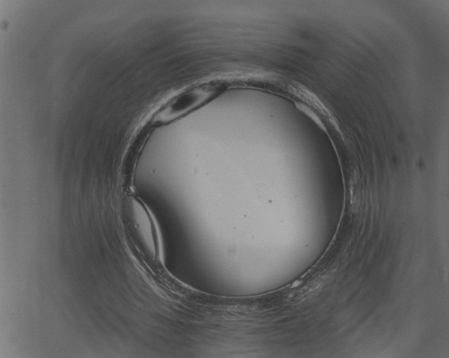 X0000062870436200601171425