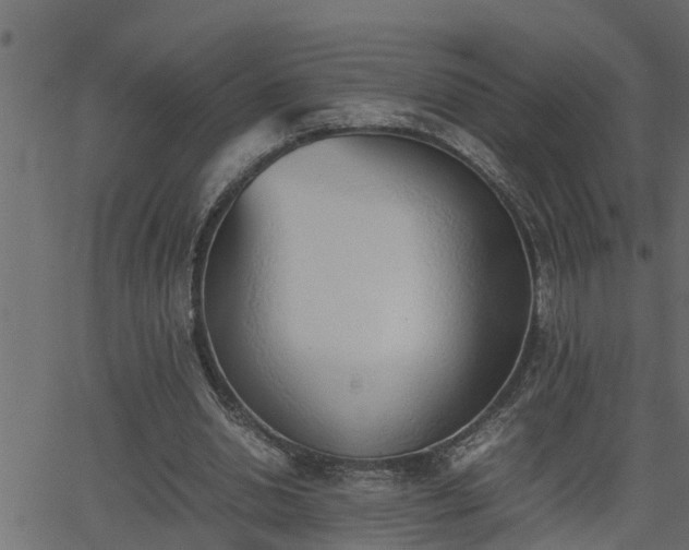 X0000062870438200601171425