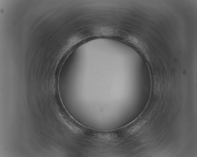 X0000062870439200601171425