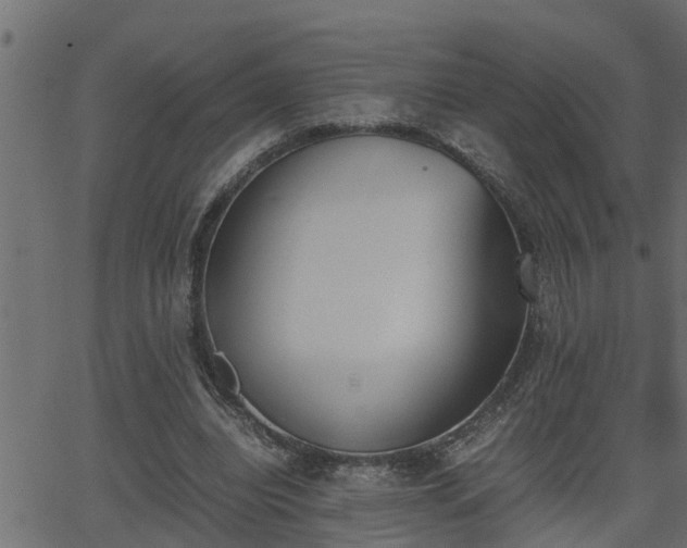 X0000062870440200601171425