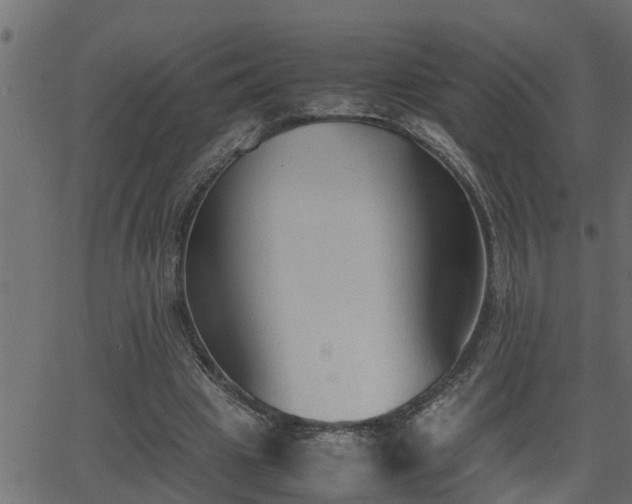 X0000062870441200601171425