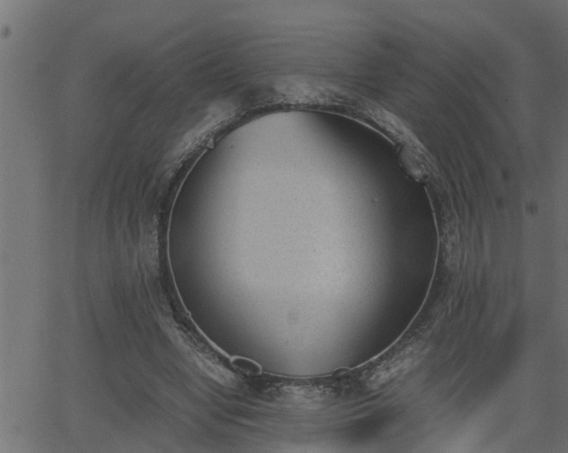 X0000062870442200601171425