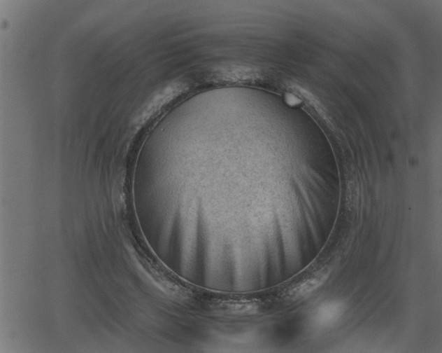 X0000062870443200601171425